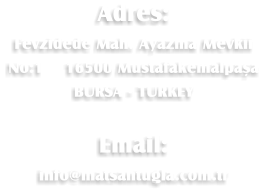 Adres: Fevzidede Mah. Ayazma Mevkii No:1    16500 Mustafakemalpaşa BURSA - TURKEY  Email: info@matsantugla.com.tr